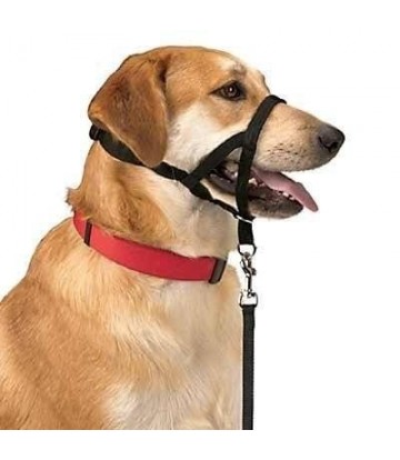 DOG CONTROL N.5 42cm