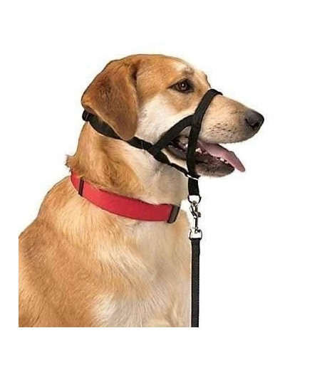 DOG CONTROL N.5 42cm