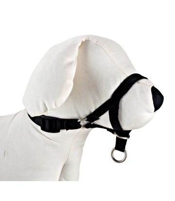 DOG CONTROL N.6 44cm