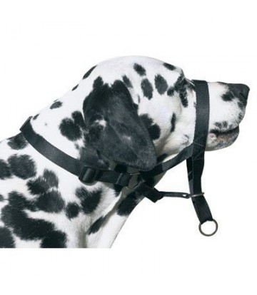 DOG CONTROL N.7 BOXER 54cm
