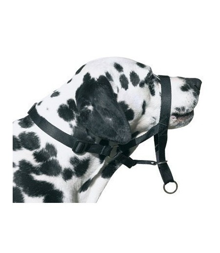 DOG CONTROL N.7 BOXER 54cm