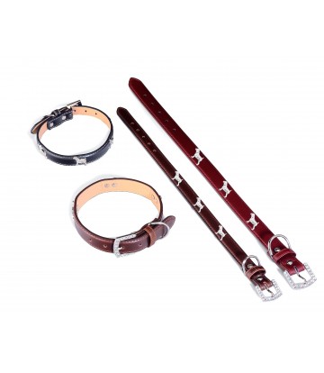 COLLAR CUERO PERRITO 50X2,5 CM