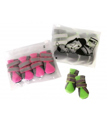 ZAPATOS MOLY MASCOTA T-S