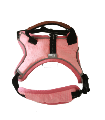 Arnes Pink confort Moly Talla S