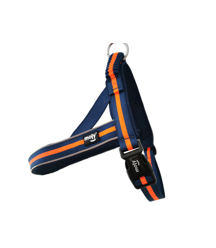 Arnés Confort Moly motivos reflectivos L