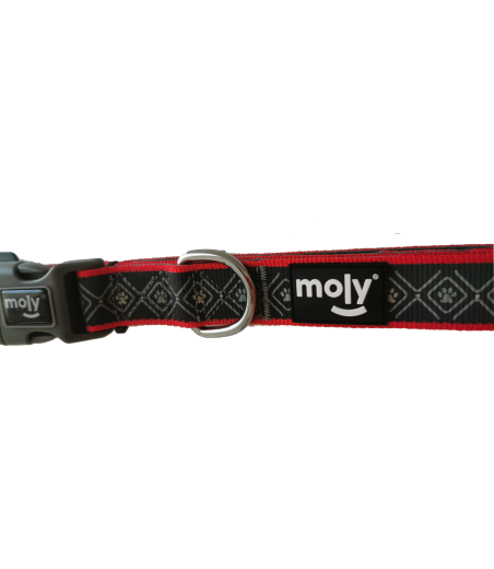 COLLAR MOLY NEOPRENO RAINBOW REFLECT T-S