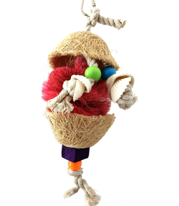 JUGUETE INTERACTIVO FIBRAS NATURALES -CONCHAS 15X9 CM