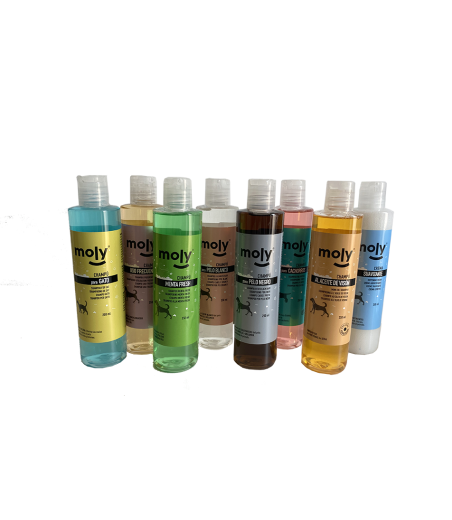 CHAMPU MENTA FRESH 250ml