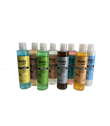 CHAMPU PELO BLANCO 250ml 2