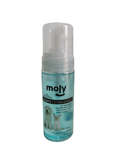 CHAMPU ESPUMA EN SECO 150ml