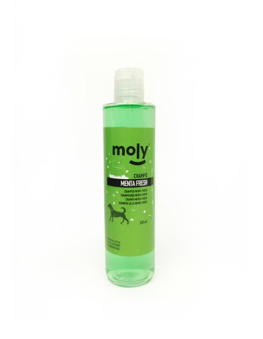CHAMPU MENTA FRESH 500 ML