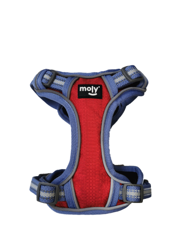 ARNÉS PARA PERROS MOLY ARNÉS PARA PERROS MOLY