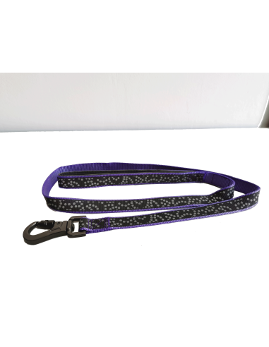 CORREA PARA PERROS MOLY