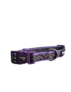 COLLAR PARA PERROS MOLY