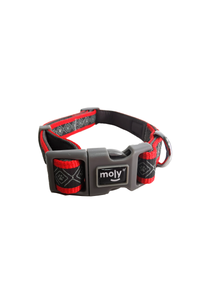 COLLAR MOLY NEOPRENO RAINBOW REFLECT T-S