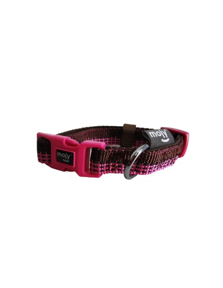 COLLAR PARA PERROS MOLY DISEÑO EXCLUSIVO