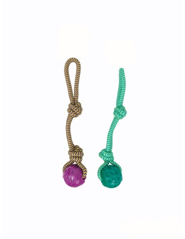 MORDEDOR TPR COLECTION DIOR PET MORDEDOR TPR COLECTION DIOR PET