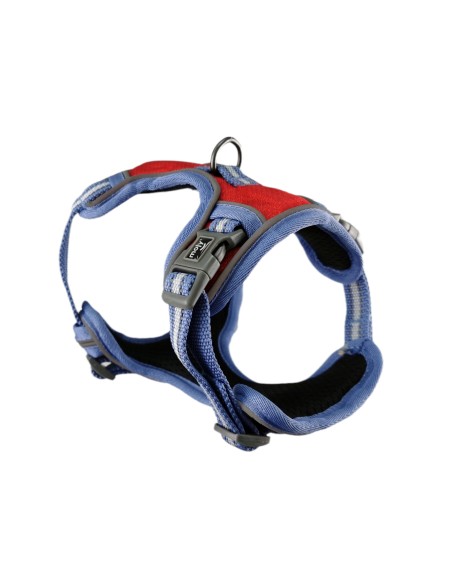 ARNÉS PARA PERROS MOLY