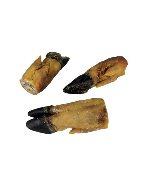 MANITAS DE CERDO PARA PERROS