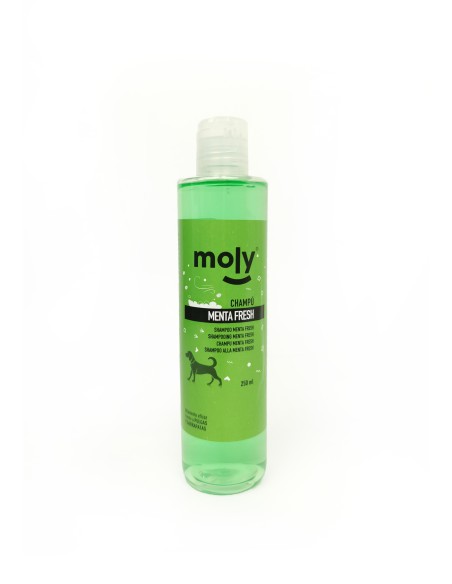 CHAMPU MENTA FRESH 250ml