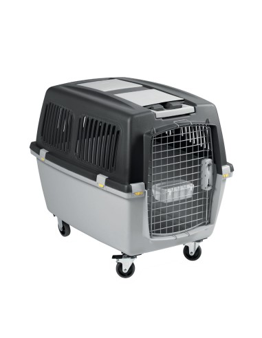 TRANSPORTIN GULLIVER IATA 4, 5, 6 y 7