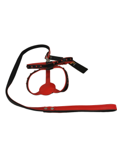 COLLAR PARA PERRO Y RAMAL...