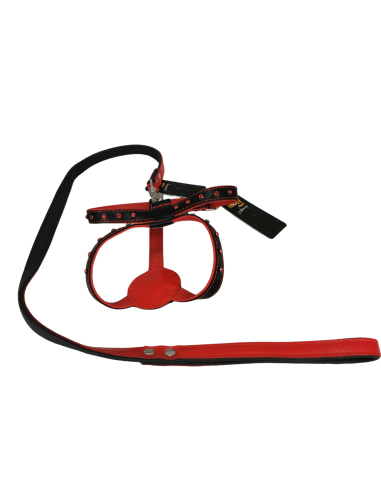 COLLAR PARA PERRO Y RAMAL DE PIEL CON...