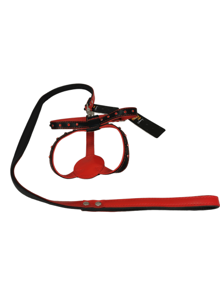 COLLAR PARA PERRO Y RAMAL DE PIEL CON PEDRERÍA