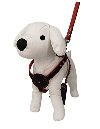 COLLAR PARA PERRO Y RAMAL DE PIEL CON...