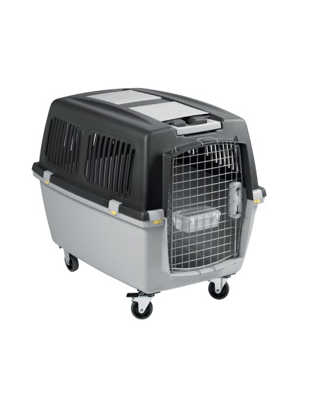 TRANSPORTIN GULLIVER IATA 4, 5, 6 y 7