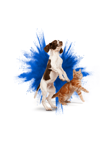 FRONTLINE SPRAY ANTIPARASITARIO PARA... FRONTLINE SPRAY ANTIPARASITARIO PARA...