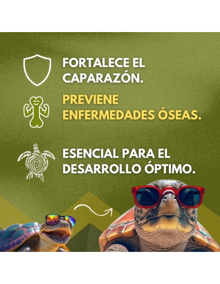 MOLY CALCIO TORTUGAS EXPO X 30 CALCIOS VITAMINADOS