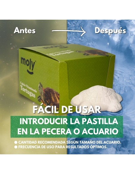 MOLY CALCIO TORTUGAS EXPO X 30 CALCIOS VITAMINADOS