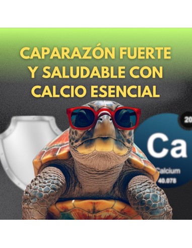MOLY CALCIO TORTUGAS EXPO X 30...