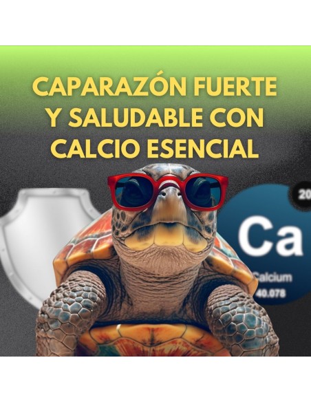 MOLY CALCIO TORTUGAS EXPO X 30 CALCIOS VITAMINADOS