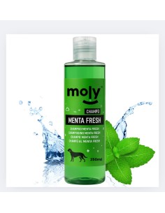 CHAMPU MENTA FRESH 500 ML