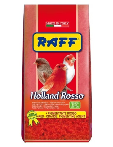 RAFF HOLLAND ROSSO PASTA DE CRÍA 1...