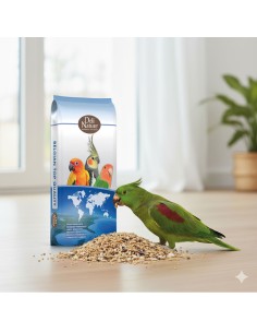 Grandes Perruches Sans... 2