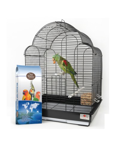 Grandes Perruches Sans Tournesols 20...