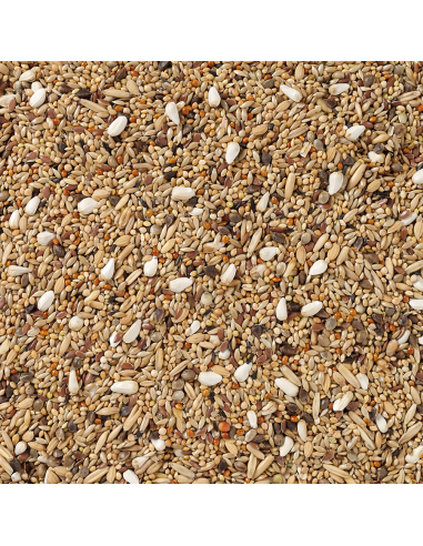 Grandes Perruches Sans Tournesols 20...