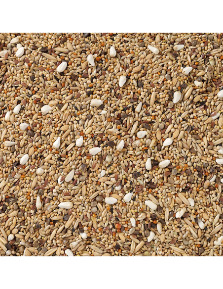 Grandes Perruches Sans Tournesols 20 kg – Deli Nature