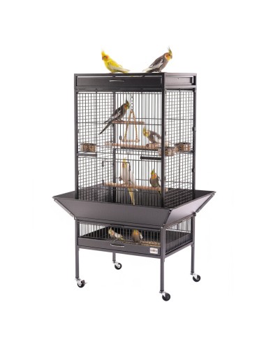 Comida Agapornis Champion Deli Nature... Comida Agapornis Champion Deli Nature...