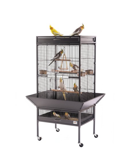 Comida Agapornis Champion Deli Nature 20 kg