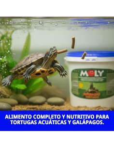 MOLY MENU TORTUGAS... 2