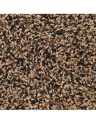 Deli Nature Tarins & Chardonnerets...