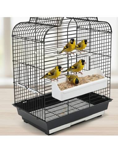 Deli Nature Tarins & Chardonnerets...