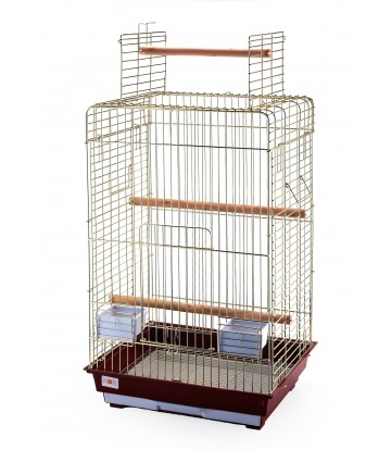 JAULA MALAWI DORADA C/APER 52 X 41 X 78