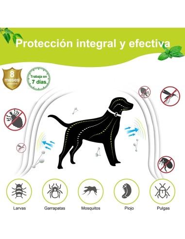 Collar REPELENTE natural Moly |... Collar REPELENTE natural Moly |...