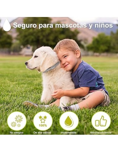 Collar REPELENTE natural Moly |... Collar REPELENTE natural Moly |...