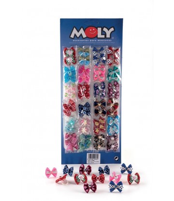 EXPOSITOR 24X2 LACITOS